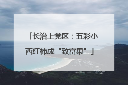 长治上党区：五彩小西红柿成“致富果”
