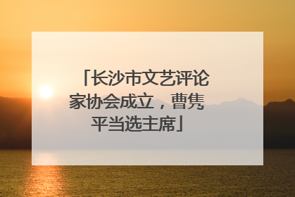 长沙市文艺评论家协会成立，曹隽平当选主席
