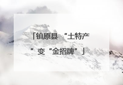 镇原县 “土特产”变“金招牌”