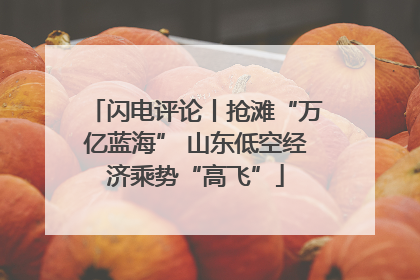 闪电评论丨抢滩“万亿蓝海” 山东低空经济乘势“高飞”