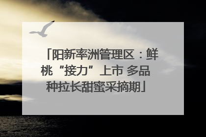 阳新率洲管理区：鲜桃“接力”上市 多品种拉长甜蜜采摘期