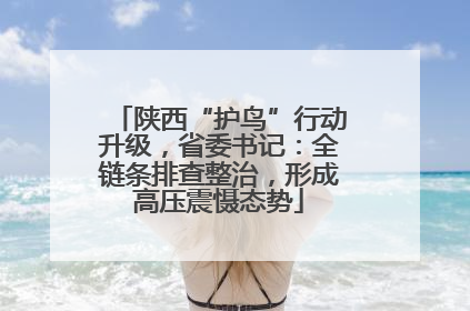 陕西“护鸟”行动升级，省委书记：全链条排查整治，形成高压震慑态势