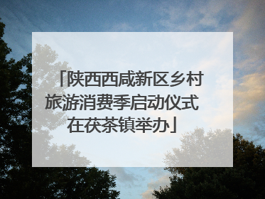 陕西西咸新区乡村旅游消费季启动仪式在茯茶镇举办