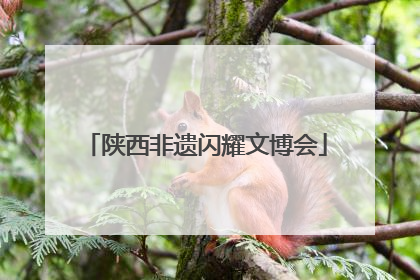 陕西非遗闪耀文博会