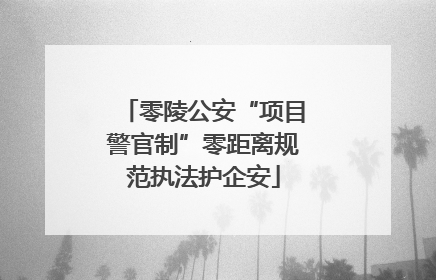 零陵公安“项目警官制”零距离规范执法护企安