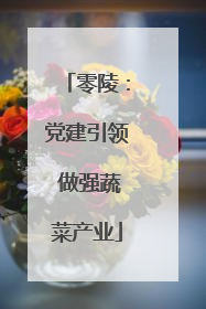零陵：党建引领 做强蔬菜产业