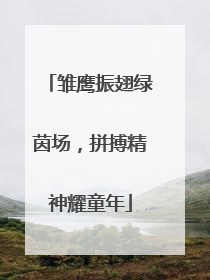 雏鹰振翅绿茵场，拼搏精神耀童年