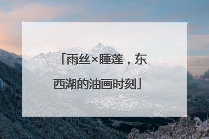 雨丝×睡莲，东西湖的油画时刻