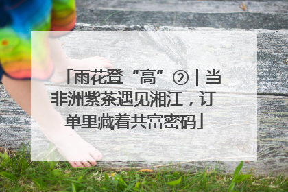 雨花登“高”②｜当非洲紫茶遇见湘江，订单里藏着共富密码