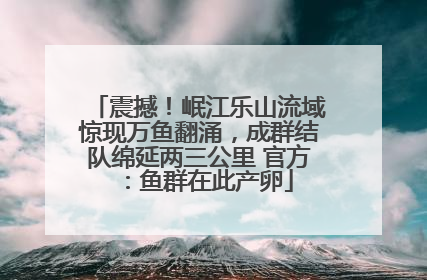 震撼！岷江乐山流域惊现万鱼翻涌，成群结队绵延两三公里 官方：鱼群在此产卵