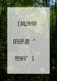 风沙里的逆袭“密码”