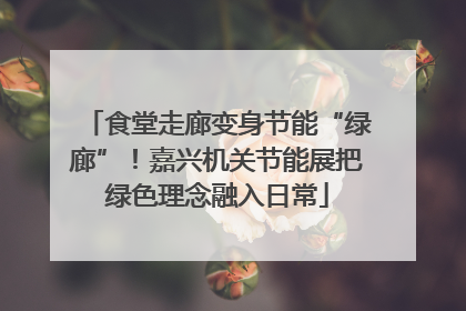 食堂走廊变身节能“绿廊”！嘉兴机关节能展把绿色理念融入日常