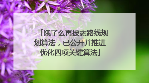 饿了么再披露路线规划算法，已公开并推进优化四项关键算法