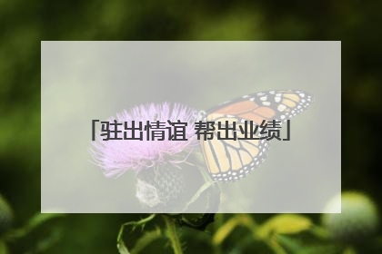 驻出情谊 帮出业绩