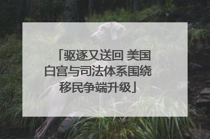 驱逐又送回 美国白宫与司法体系围绕移民争端升级