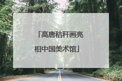 高唐秸秆画亮相中国美术馆