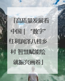 高质量发展看中国｜“数字”红利润泽八桂乡村 智慧赋能绘就振兴画卷