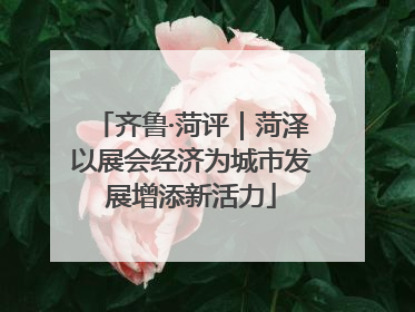 齐鲁·菏评｜菏泽以展会经济为城市发展增添新活力