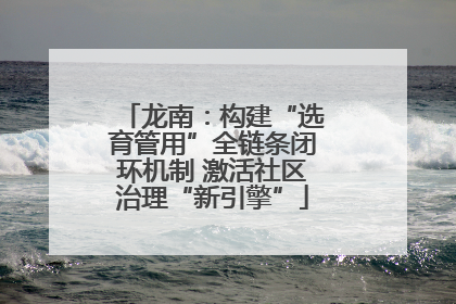 龙南：构建“选育管用”全链条闭环机制 激活社区治理“新引擎”