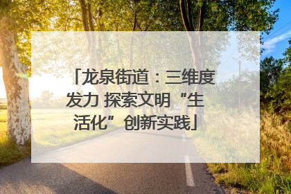 龙泉街道：三维度发力 探索文明“生活化”创新实践