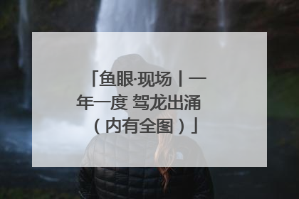 鱼眼·现场丨一年一度 驾龙出涌（内有全图）