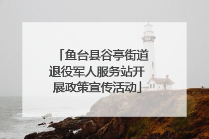 鱼台县谷亭街道退役军人服务站开展政策宣传活动