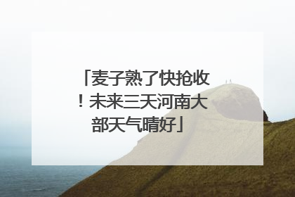 麦子熟了快抢收！未来三天河南大部天气晴好