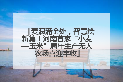 麦浪涌金处，智慧绘新篇！河南首家“小麦—玉米”周年生产无人农场喜迎丰收