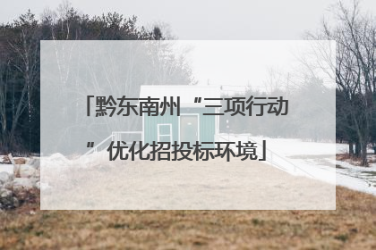 黔东南州“三项行动”优化招投标环境