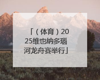 （体育）2025维也纳多瑙河龙舟赛举行