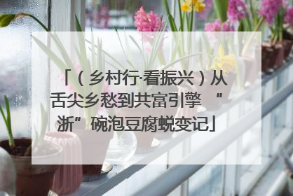 （乡村行·看振兴）从舌尖乡愁到共富引擎 “浙”碗泡豆腐蜕变记
