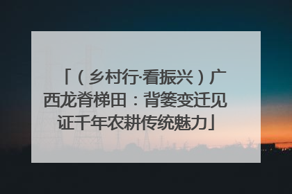 （乡村行·看振兴）广西龙脊梯田：背篓变迁见证千年农耕传统魅力