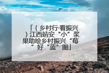 （乡村行·看振兴）江西靖安“小”浆果助绘乡村振兴“莓”好“蓝”图