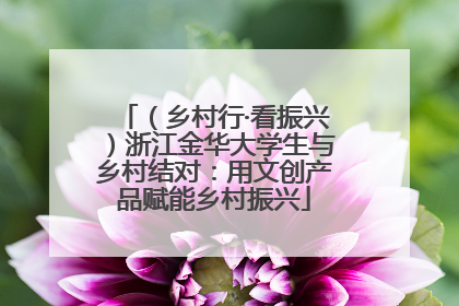 （乡村行·看振兴）浙江金华大学生与乡村结对：用文创产品赋能乡村振兴