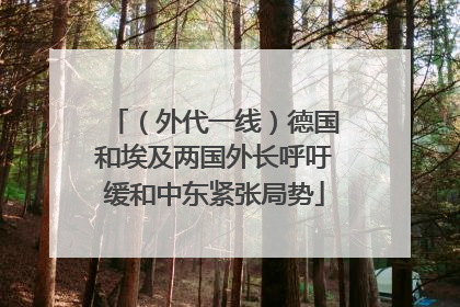 （外代一线）德国和埃及两国外长呼吁缓和中东紧张局势