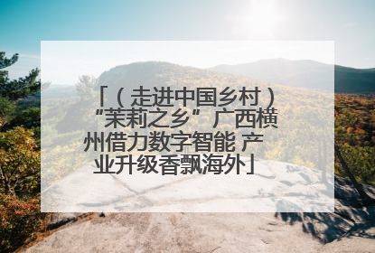（走进中国乡村）“茉莉之乡”广西横州借力数字智能 产业升级香飘海外