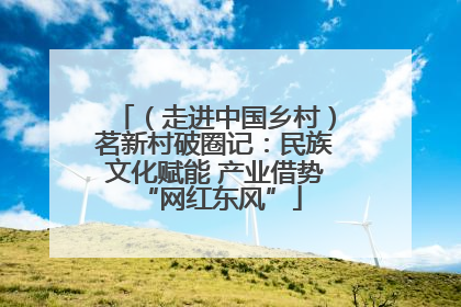 （走进中国乡村）茗新村破圈记：民族文化赋能 产业借势 “网红东风”
