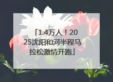 1.4万人！2025沈阳和河半程马拉松激情开跑