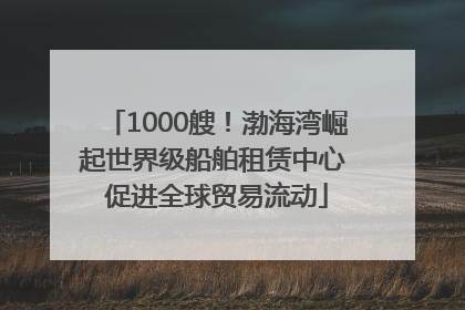 1000艘！渤海湾崛起世界级船舶租赁中心 促进全球贸易流动
