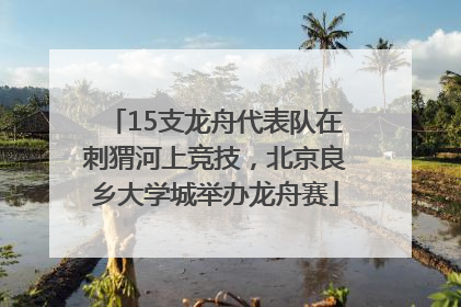 15支龙舟代表队在刺猬河上竞技，北京良乡大学城举办龙舟赛