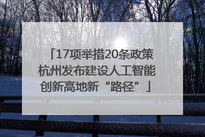 17项举措20条政策 杭州发布建设人工智能创新高地新“路径”