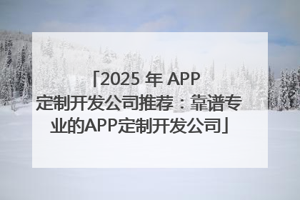 2025 年 APP 定制开发公司推荐：靠谱专业的APP定制开发公司