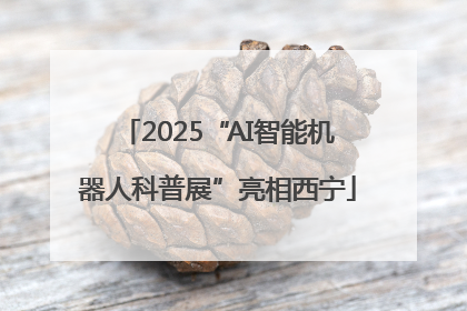 2025“AI智能机器人科普展”亮相西宁