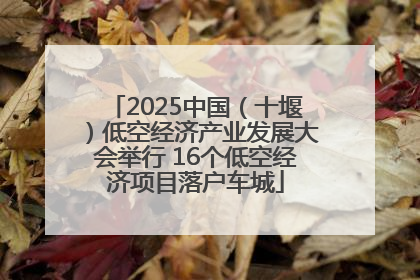 2025中国（十堰）低空经济产业发展大会举行 16个低空经济项目落户车城