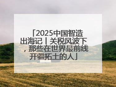 2025中国智造出海记丨关税风波下，那些在世界最前线开疆拓土的人