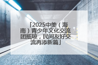 2025中美（海南）青少年文化交流团抵琼，民间友好交流再添新篇