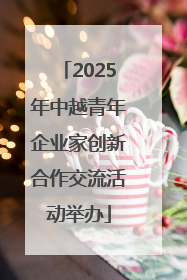 2025年中越青年企业家创新合作交流活动举办