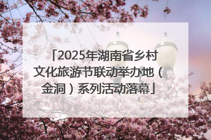 2025年湖南省乡村文化旅游节联动举办地（金洞）系列活动落幕