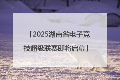 2025湖南省电子竞技超级联赛即将启幕