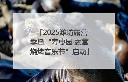 2025潍坊露营季暨“寿枣园·露营烧烤音乐节”启动
